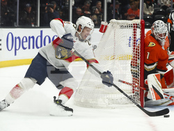 Panthers Ducks Hockey