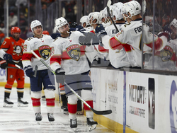 Panthers Ducks Hockey