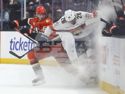 Panthers Ducks Hockey