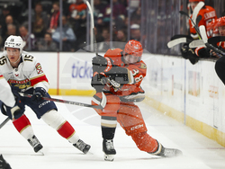 Panthers Ducks Hockey