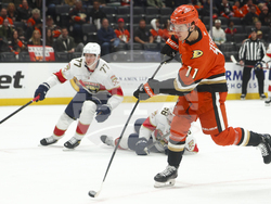 Panthers Ducks Hockey