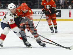 Panthers Ducks Hockey