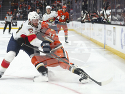 Panthers Ducks Hockey