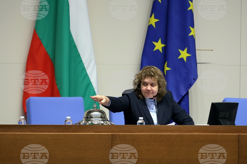 Парламент - заседание - Наталия Киселова