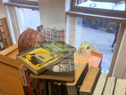 Хърватия - Загреб - Ксения Банович - преводач - интервю