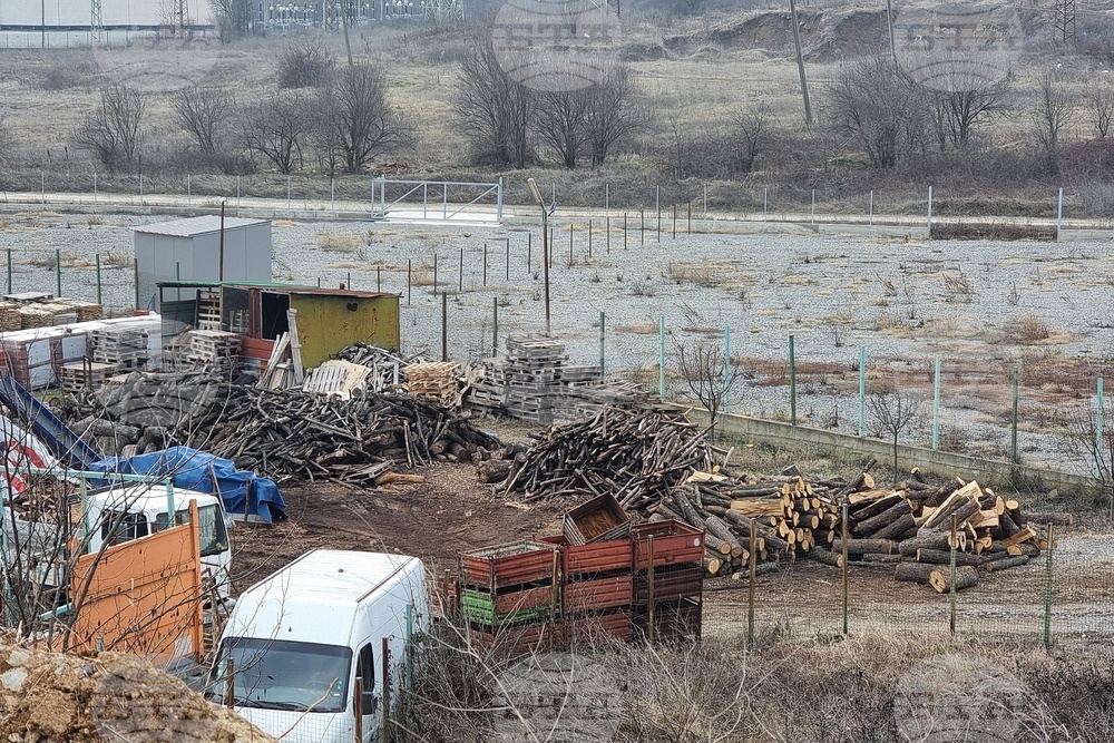 Незаконно добити 20 кубика дърва са иззети от частен дом във Вършец