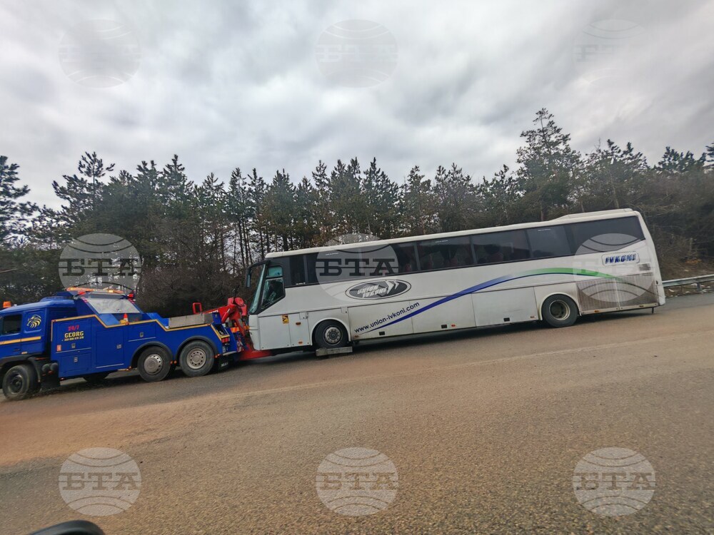 Леко ранени са двама души след произшествие между автобус и товарно превозно средство, съобщиха от МВР
