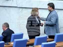 Народно събрание - заседание