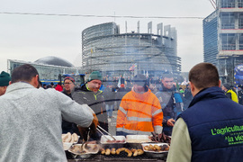 Франция - Страсбург - земеделци - протест