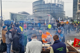 Франция - Страсбург - земеделци - протест