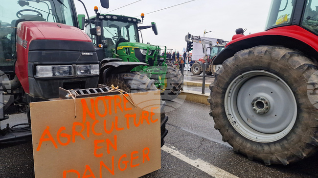 Над 10 000 фермери от цяла Европа се очаква да излязат на протест в Брюксел, за да подчертаят дълбочината на кризата, пред която е изправен секторът