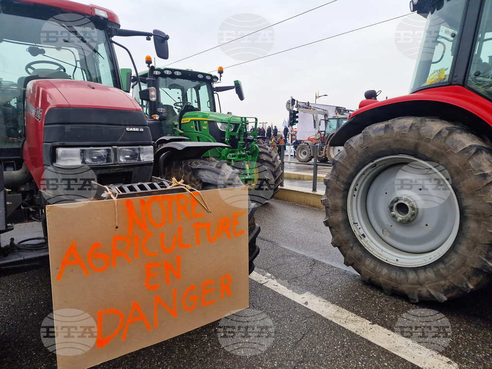 Над 10 000 фермери от цяла Европа се очаква да излязат на протест в Брюксел, за да подчертаят дълбочината на кризата, пред която е изправен секторът
