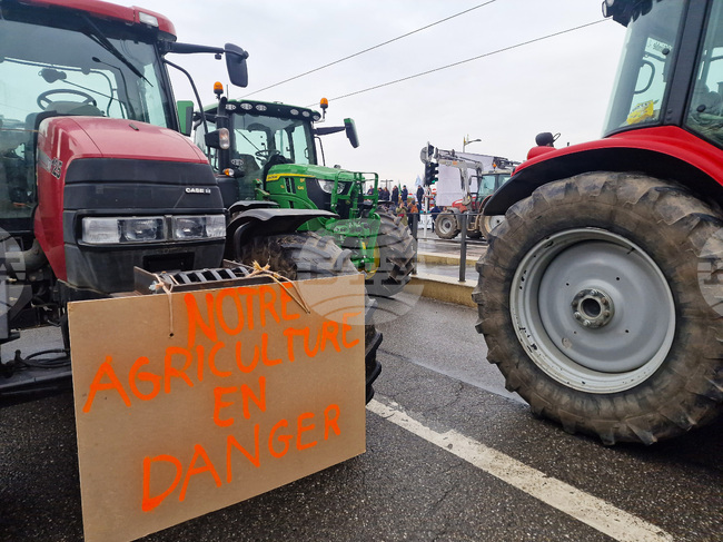 Над 10 000 фермери от цяла Европа се очаква да излязат на протест в Брюксел, за да подчертаят дълбочината на кризата, пред която е изправен секторът