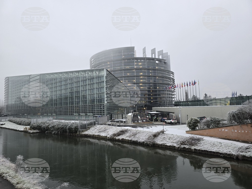 Лидерите на политическите групи в Европейския парламент приветстваха спирането на огъня в ивицата Газа