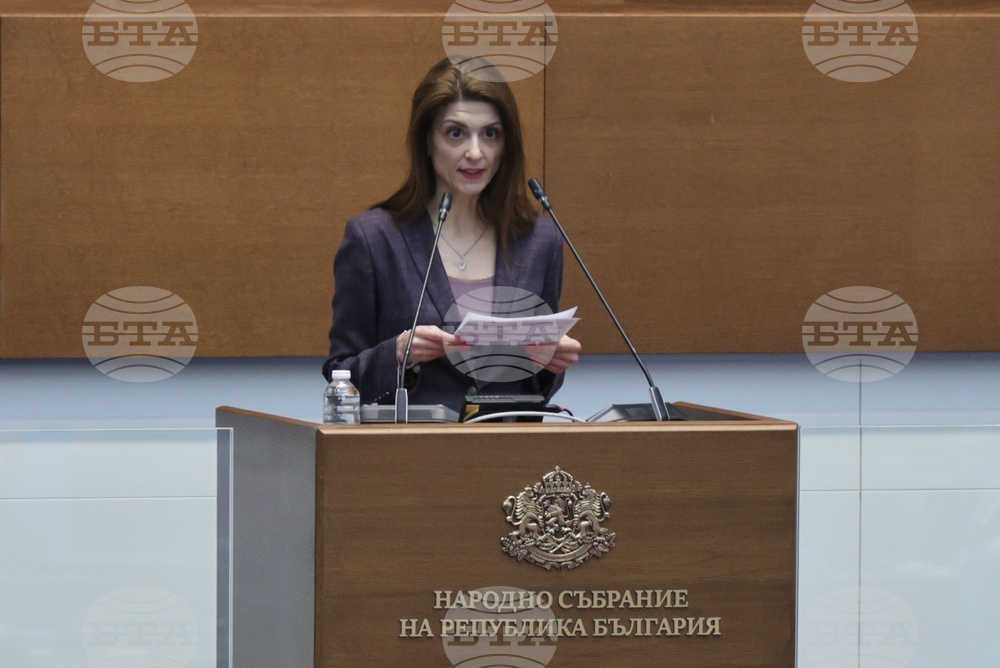 Парламент - заседание - Нина Димитрова
