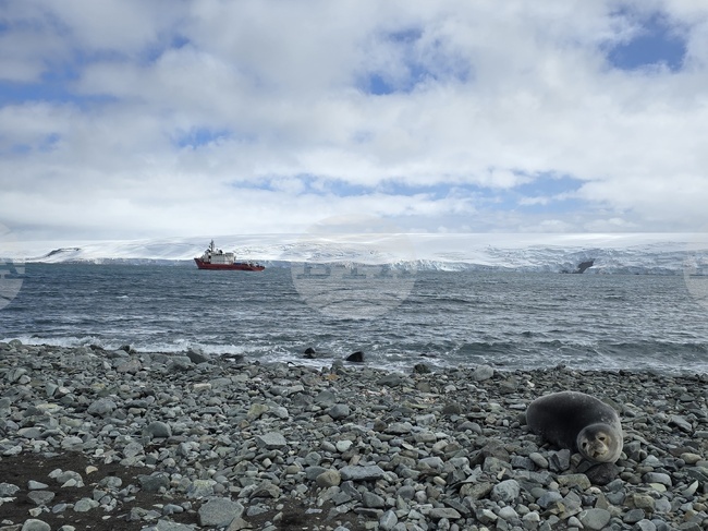 Научноизследователският кораб „Св. св. Кирил и Методий“ прекара деня на котва пред българската антарктическа база „Св. Климент Охридски“