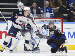 Blue Jackets Maple Leafs Hockey