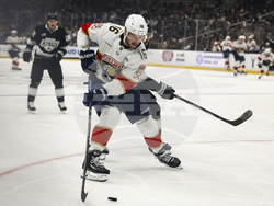 Panthers Kings Hockey