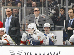 Panthers Kings Hockey
