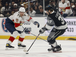 Panthers Kings Hockey