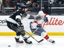Panthers Kings Hockey