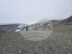 Антарктида - остров Ливингстън - залив Сали Рокс