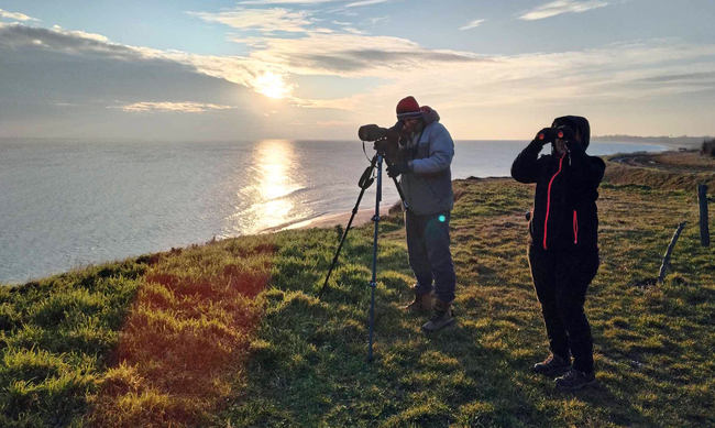 БДЗП: Готови са резултатите от 49-тото Среднозимно преброяване на водолюбивите птици у нас