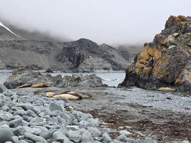 Antarctica - Livingston Island - Sally Rocks Cove