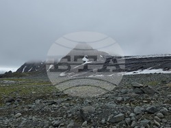 Antarctica - Livingston Island - Sally Rocks Cove