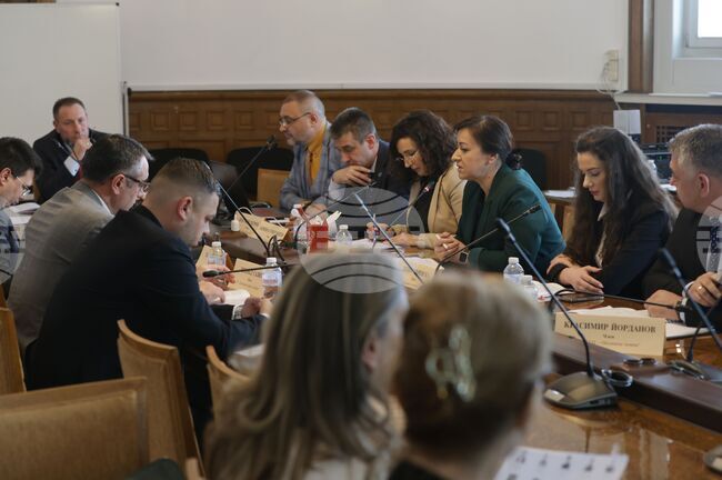 По-добра комуникация между институциите, информационни кампании и навременни обезщетения препоръчва временната комисия за огнищата на чума и шарка по животните