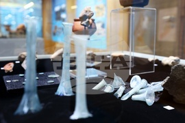 НИМ - „Древни находки. Нови открития. Археологически сезон 2024” - изложба