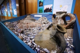 НИМ - „Древни находки. Нови открития. Археологически сезон 2024” - изложба