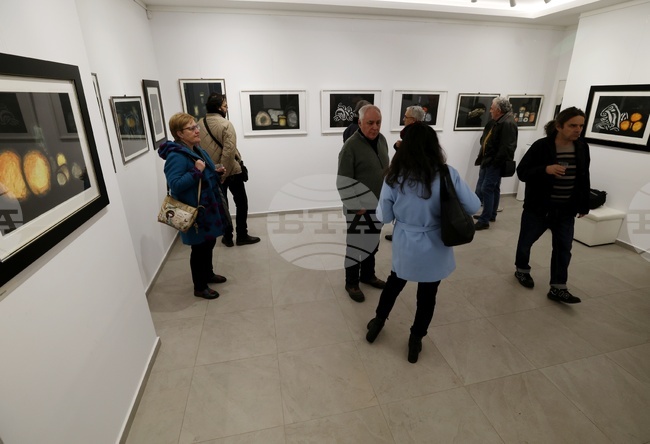  Галерия „Вежди” (Vejdi) - Иван Нинов - изложба