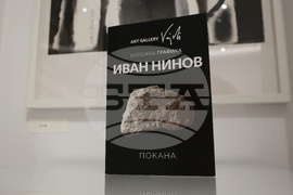 Галерия „Вежди” (Vejdi) - Иван Нинов - изложба