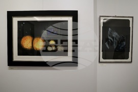 Галерия „Вежди” (Vejdi) - Иван Нинов - изложба