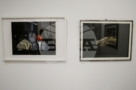 Галерия „Вежди” (Vejdi) - Иван Нинов - изложба