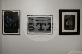 Галерия „Вежди” (Vejdi) - Иван Нинов - изложба