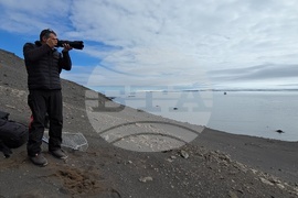 Антарктида - Остров Ливингстън - наблюдение - птици