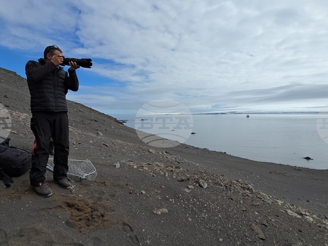 Ornithologists Monitor Giant Petrel, Penguin Colonies on Livingston Island