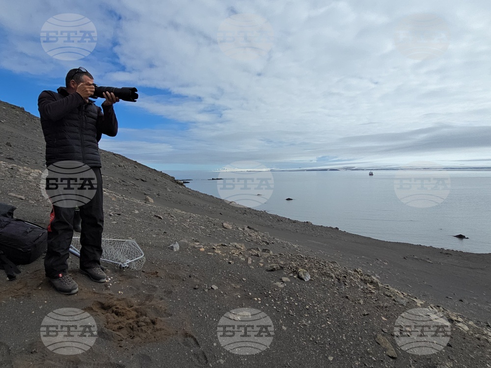 Антарктида - Остров Ливингстън - наблюдение - птици