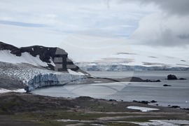 Антарктида - Остров Ливингстън - наблюдение - птици