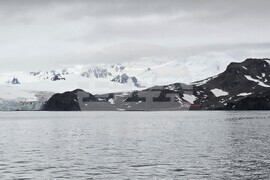 Антарктида - Остров Ливингстън - наблюдение - птици