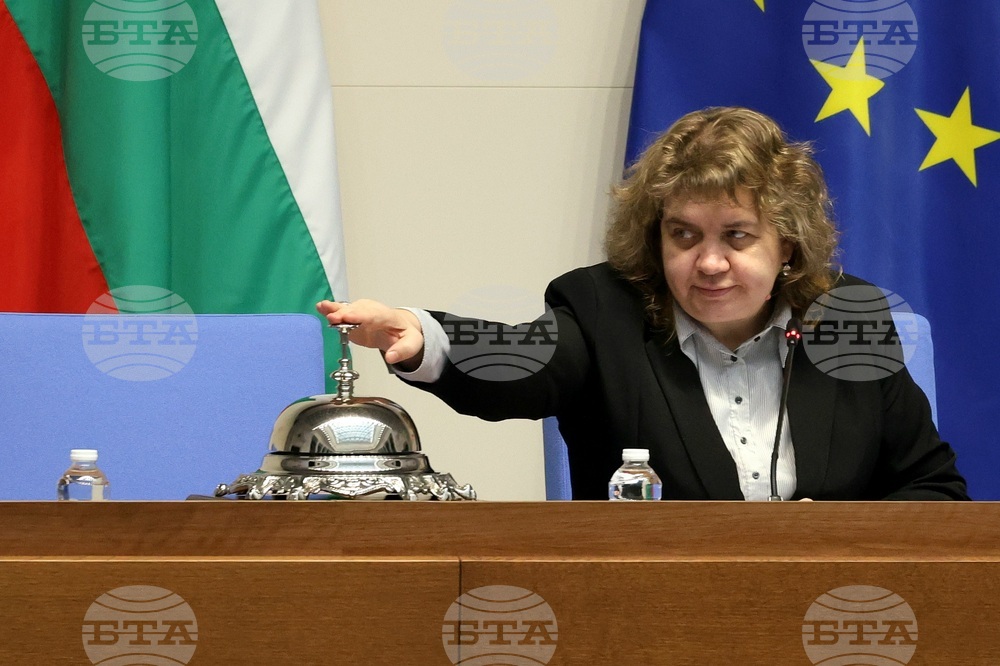 Парламент - заседание - Наталия Киселова 