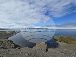 Antarctica - Livingston Island - bird monitoring