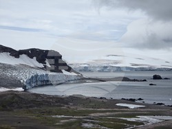 Antarctica - Livingston Island - bird monitoring