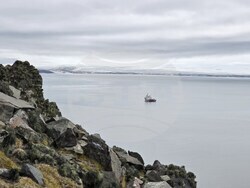 Antarctica - Livingston Island - bird monitoring
