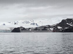 Antarctica - Livingston Island - bird monitoring