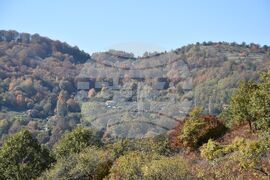 Сърбия - Село Милевци - изглед