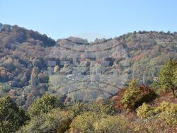 Сърбия - Село Милевци - изглед