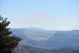 Сърбия - Село Милевци - изглед